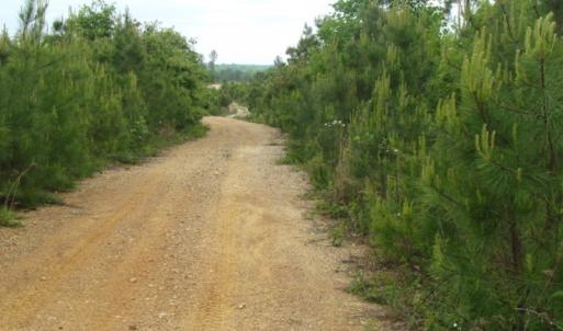 Photo of UNDER CONTRACT!  665 Acres of Hunting and Investment Land For Sale in Fluvanna County VA!