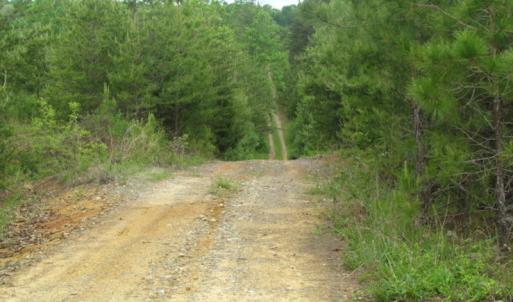 Photo of UNDER CONTRACT!  665 Acres of Hunting and Investment Land For Sale in Fluvanna County VA!