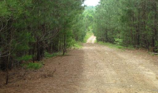 Photo of UNDER CONTRACT!  665 Acres of Hunting and Investment Land For Sale in Fluvanna County VA!