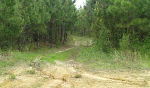 Photo of UNDER CONTRACT!  665 Acres of Hunting and Investment Land For Sale in Fluvanna County VA!