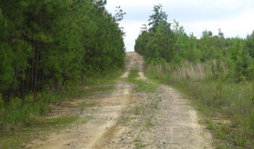 Photo of UNDER CONTRACT!  665 Acres of Hunting and Investment Land For Sale in Fluvanna County VA!