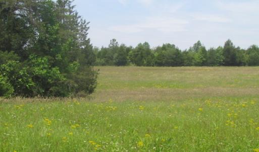 Photo of SOLD!  25 Acres of Hunting Land with Home Site For Sale in Fluvanna County VA!