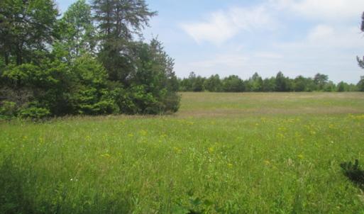 Photo of SOLD!  25 Acres of Hunting Land with Home Site For Sale in Fluvanna County VA!