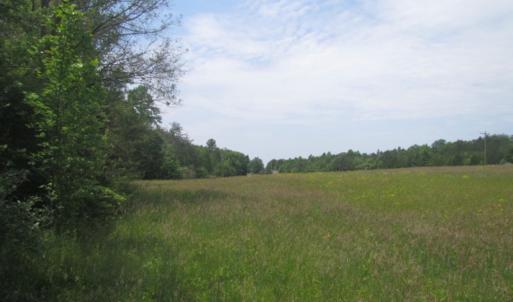 Photo of SOLD!  25 Acres of Hunting Land with Home Site For Sale in Fluvanna County VA!