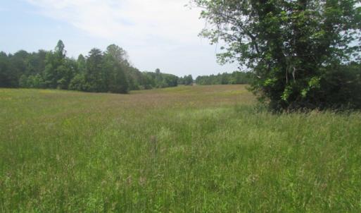 Photo of SOLD!  25 Acres of Hunting Land with Home Site For Sale in Fluvanna County VA!