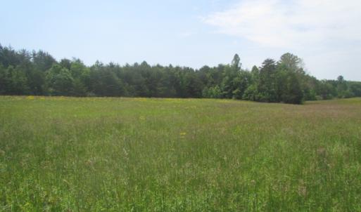 Photo of SOLD!  25 Acres of Hunting Land with Home Site For Sale in Fluvanna County VA!