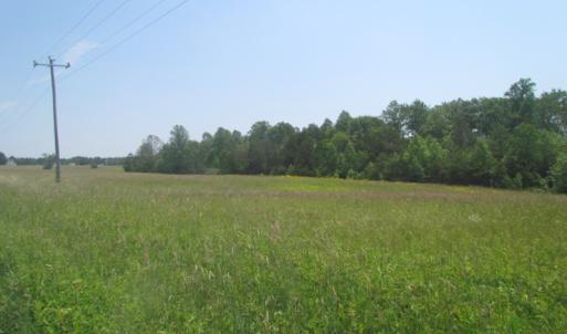 Photo of SOLD!  25 Acres of Hunting Land with Home Site For Sale in Fluvanna County VA!