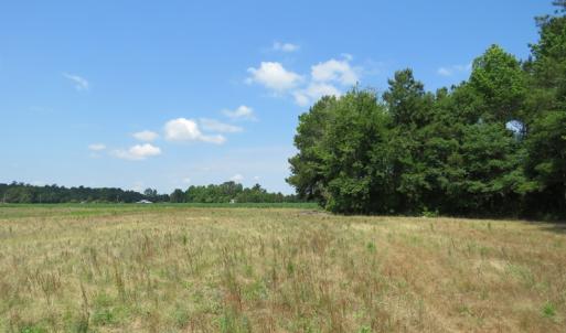 Photo of SOLD!  23 Acres of Farm and Timber Land With Home For Sale in Columbus County NC!