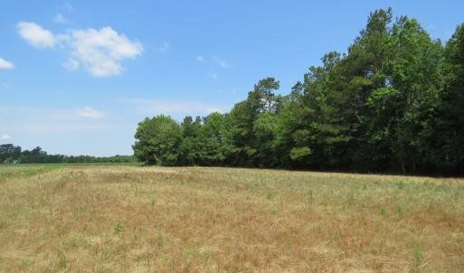 Photo of SOLD!  23 Acres of Farm and Timber Land With Home For Sale in Columbus County NC!