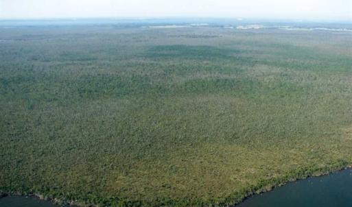 Photo of SOLD!  998 Acres of Riverfront Hunting Land For Sale in Camden County NC!