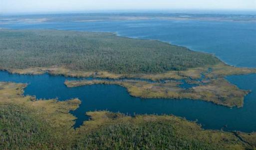 Photo of SOLD!  998 Acres of Riverfront Hunting Land For Sale in Camden County NC!