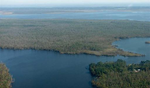 Photo of SOLD!  998 Acres of Riverfront Hunting Land For Sale in Camden County NC!
