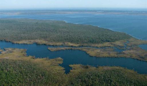 Photo of SOLD!  998 Acres of Riverfront Hunting Land For Sale in Camden County NC!