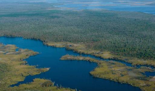 Photo of SOLD!  998 Acres of Riverfront Hunting Land For Sale in Camden County NC!
