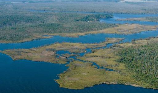 Photo of SOLD!  998 Acres of Riverfront Hunting Land For Sale in Camden County NC!