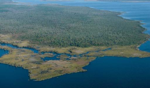 Photo of SOLD!  998 Acres of Riverfront Hunting Land For Sale in Camden County NC!
