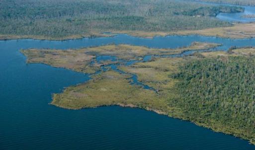 Photo of SOLD!  998 Acres of Riverfront Hunting Land For Sale in Camden County NC!