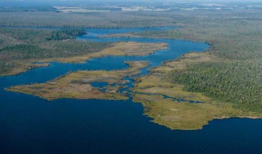 Photo of SOLD!  998 Acres of Riverfront Hunting Land For Sale in Camden County NC!