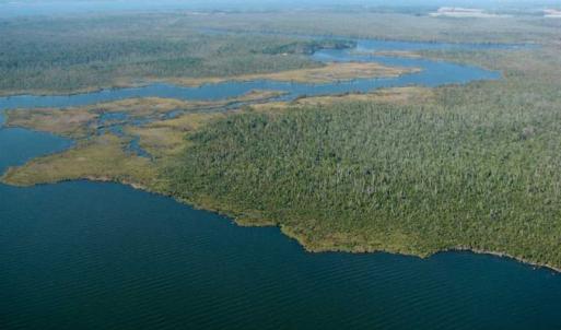 Photo of SOLD!  998 Acres of Riverfront Hunting Land For Sale in Camden County NC!