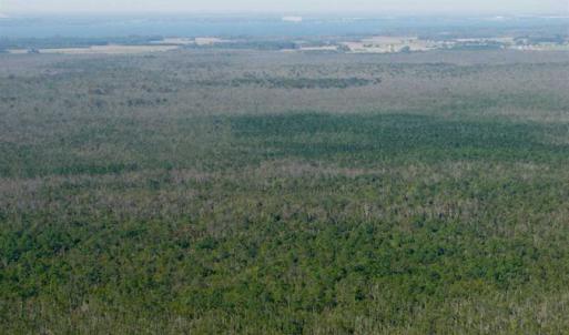Photo of SOLD!  998 Acres of Riverfront Hunting Land For Sale in Camden County NC!