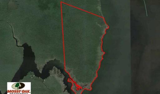 Photo of SOLD!  998 Acres of Riverfront Hunting Land For Sale in Camden County NC!