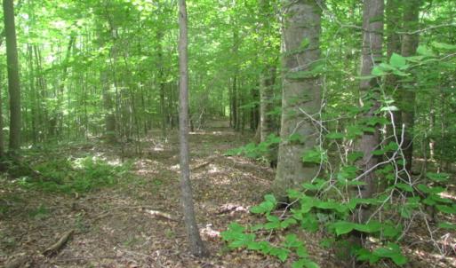 Photo of UNDER CONTRACT!  18 Acres of Hunting and Timber Land For Sale in Gloucester County VA!