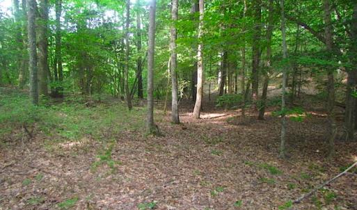 Photo of UNDER CONTRACT!  18 Acres of Hunting and Timber Land For Sale in Gloucester County VA!