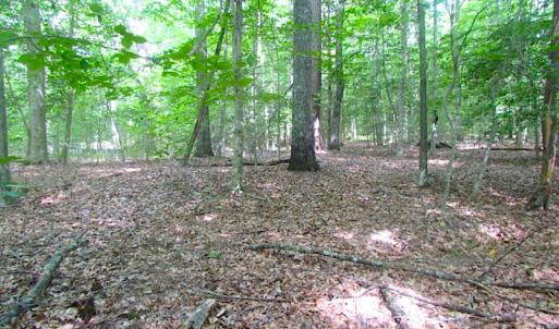Photo of UNDER CONTRACT!  18 Acres of Hunting and Timber Land For Sale in Gloucester County VA!