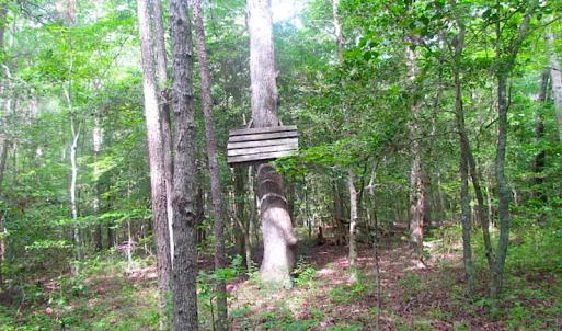 Photo of UNDER CONTRACT!  18 Acres of Hunting and Timber Land For Sale in Gloucester County VA!