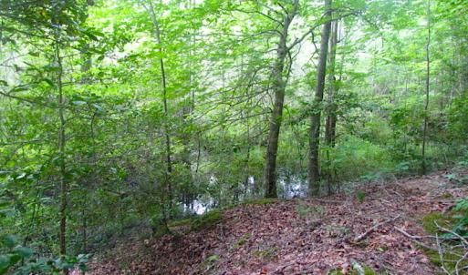 Photo of UNDER CONTRACT!  18 Acres of Hunting and Timber Land For Sale in Gloucester County VA!