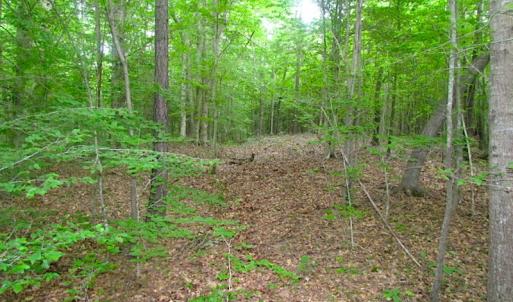 Photo of UNDER CONTRACT!  18 Acres of Hunting and Timber Land For Sale in Gloucester County VA!