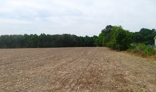 Photo of UNDER CONTRACT!  18 Acres of Hunting and Timber Land For Sale in Gloucester County VA!
