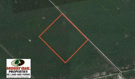 Photo of UNDER CONTRACT!  180 Acres of Hunting Land For Sale in Hyde County NC!