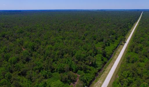 Photo of UNDER CONTRACT!  180 Acres of Hunting Land For Sale in Hyde County NC!