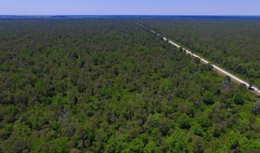 Photo of UNDER CONTRACT!  180 Acres of Hunting Land For Sale in Hyde County NC!