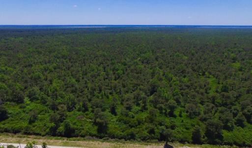 Photo of UNDER CONTRACT!  180 Acres of Hunting Land For Sale in Hyde County NC!