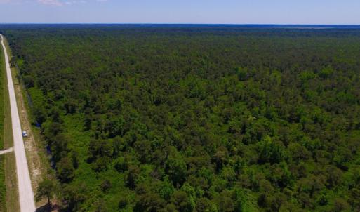 Photo of UNDER CONTRACT!  180 Acres of Hunting Land For Sale in Hyde County NC!