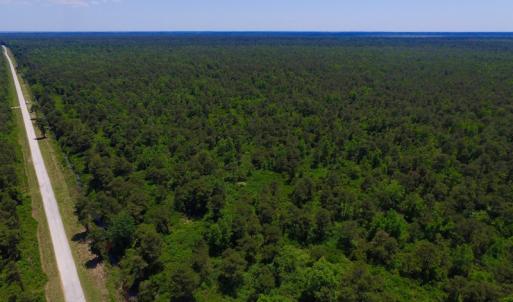 Photo of UNDER CONTRACT!  180 Acres of Hunting Land For Sale in Hyde County NC!