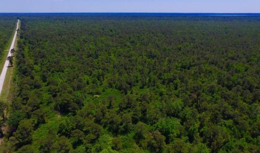 Photo of UNDER CONTRACT!  180 Acres of Hunting Land For Sale in Hyde County NC!