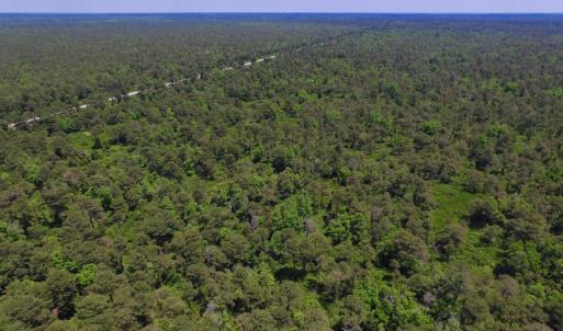 Photo of UNDER CONTRACT!  180 Acres of Hunting Land For Sale in Hyde County NC!