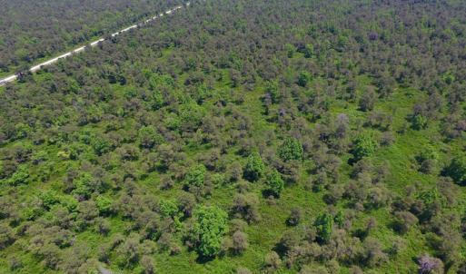 Photo of UNDER CONTRACT!  180 Acres of Hunting Land For Sale in Hyde County NC!