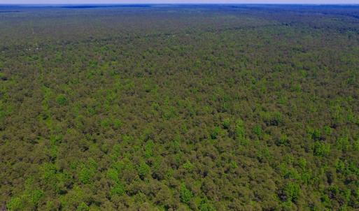 Photo of UNDER CONTRACT!  180 Acres of Hunting Land For Sale in Hyde County NC!