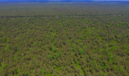 Photo of UNDER CONTRACT!  180 Acres of Hunting Land For Sale in Hyde County NC!