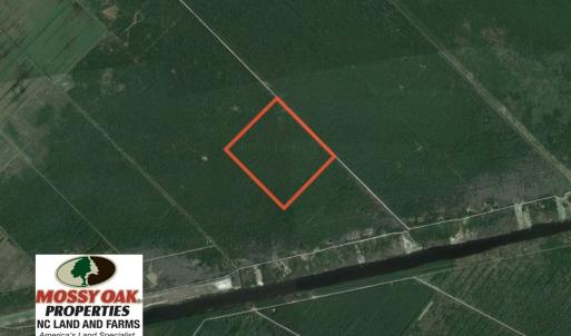 Photo of UNDER CONTRACT!  180 Acres of Hunting Land For Sale in Hyde County NC!