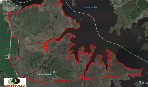 Photo of UNDER CONTRACT!  547 ac Waterfront Hunting Land For Sale in Beaufort County NC!