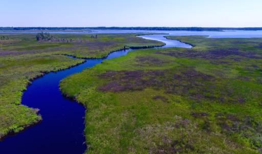 Photo of UNDER CONTRACT!  547 ac Waterfront Hunting Land For Sale in Beaufort County NC!
