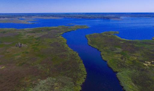 Photo of UNDER CONTRACT!  547 ac Waterfront Hunting Land For Sale in Beaufort County NC!