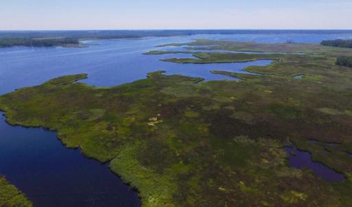 Photo of UNDER CONTRACT!  547 ac Waterfront Hunting Land For Sale in Beaufort County NC!