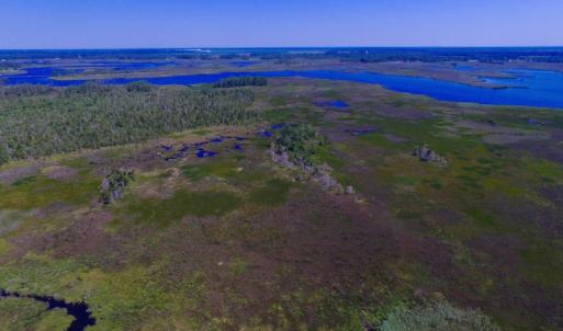 Photo of UNDER CONTRACT!  547 ac Waterfront Hunting Land For Sale in Beaufort County NC!