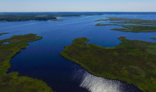 Photo of UNDER CONTRACT!  547 ac Waterfront Hunting Land For Sale in Beaufort County NC!